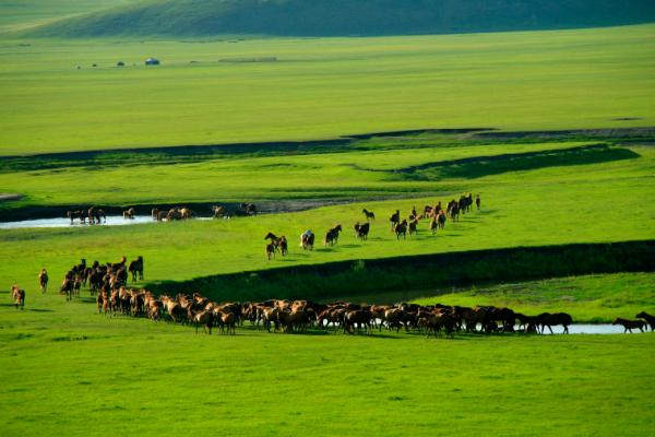 爱上包头需要几个理由,农村女孩爱上城市