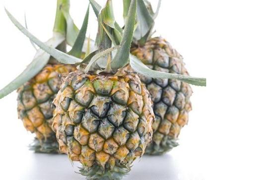 南国四大果品有哪几种,南国四大果菠萝