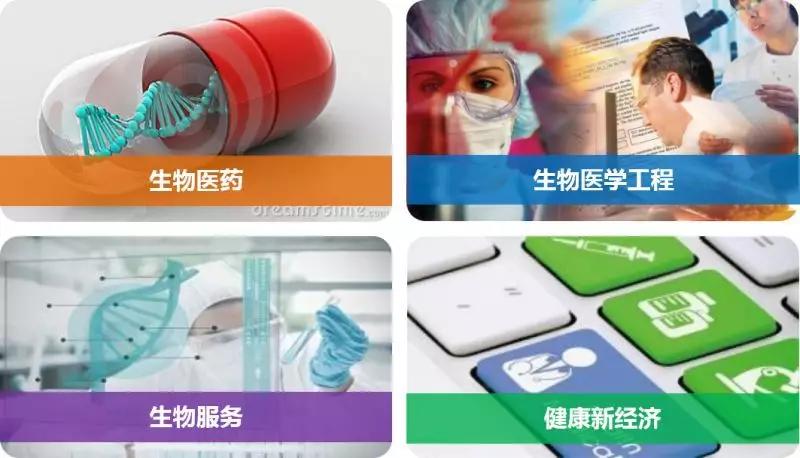 成都这个生物医药领域的“闯入者”凭啥吸引京东方辉瑞等名企？