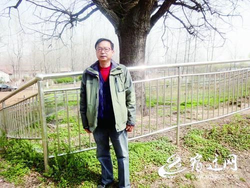 宿迁那些有故事的人和树来听他们背后打动人心的故事