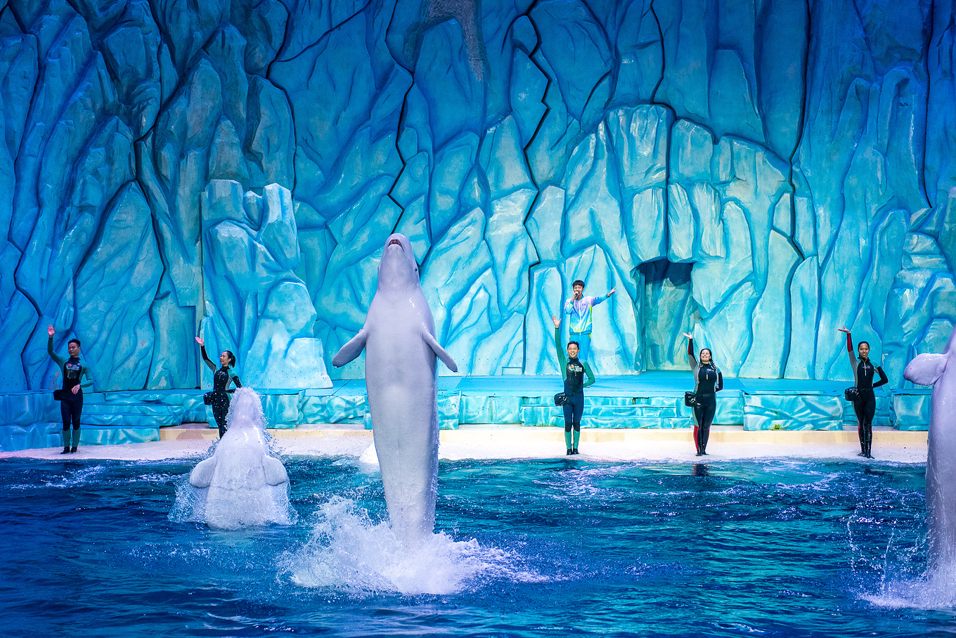 珠海长隆龙秀适合小朋友看吗,珠海长隆海洋王国值得打卡的地方
