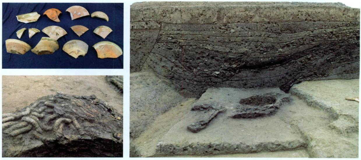 日本人知道鉴真吗,鉴真和尚到日本吃肉吗