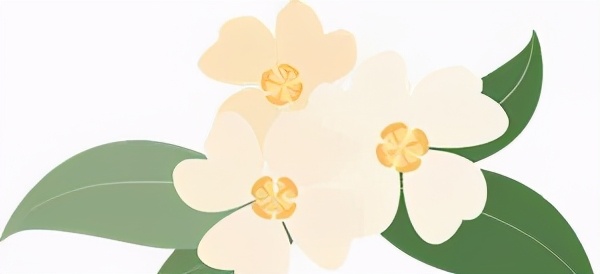 广西乡村振兴带动脱贫,乡村振兴宾阳