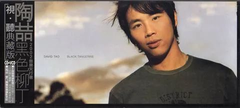 陶喆黑色柳丁专辑原图,陶喆黑色柳丁专辑评价
