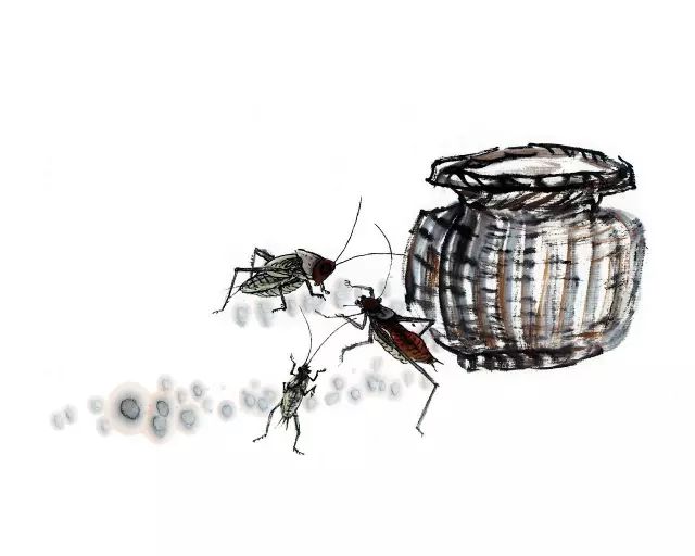 买东西为什么不说买南北,中国人为何叫买东西不叫买南北