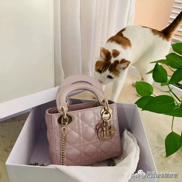 超好看的宠物包,好看又大的宠物包