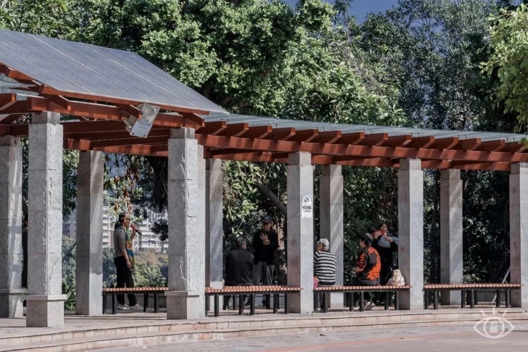 深圳免费一日游好去处推荐,深圳一日游好去处推荐老人