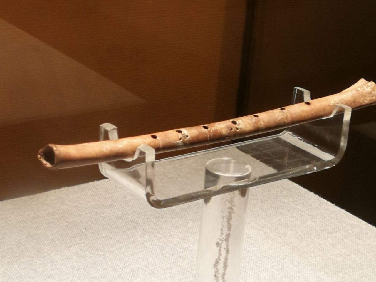 为何考古界反复质疑夏朝,从考古看中国这本书讲的是什么