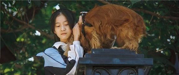 被父母伤害自尊,被父母伤害了还要孝顺吗