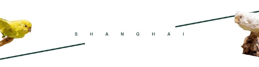 时髦精都在逛的hAomArket好市,一站式承包你的冬日小众好物