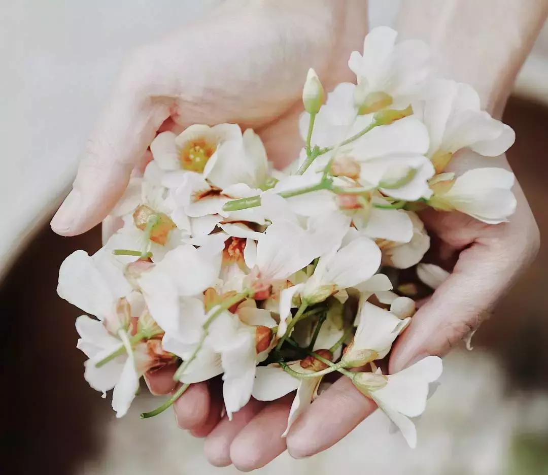 中医刘炳凡,中医刘炳凡治什么病