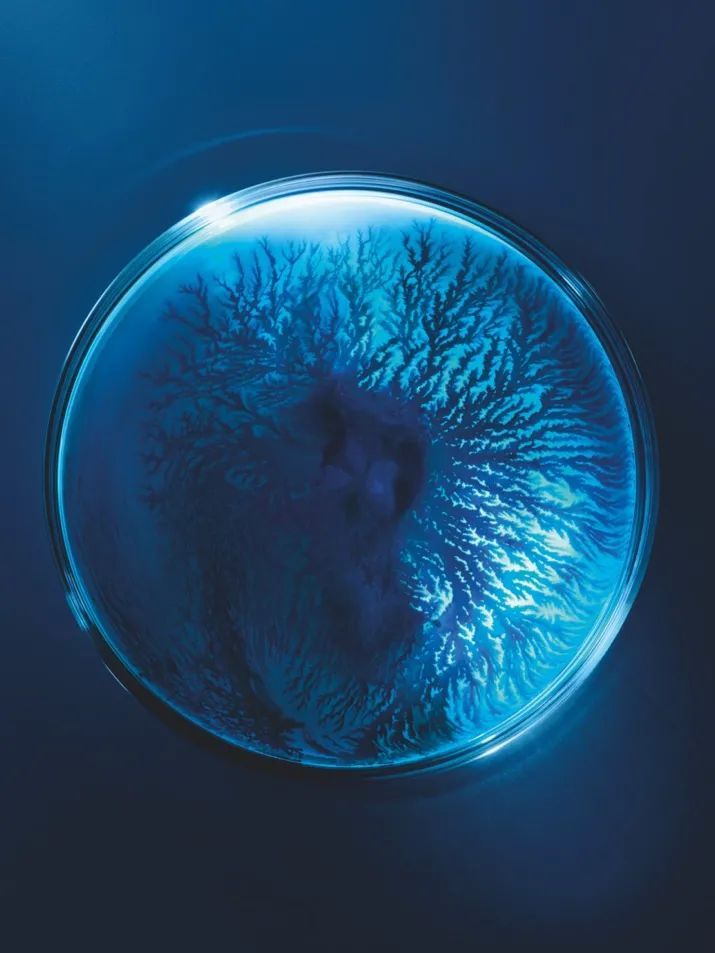 碧欧泉新款蓝钻面霜怎么样,碧欧泉招牌面霜