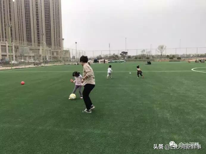 青岛城阳白沙河足球公园,白沙湾足球基地免费开放吗