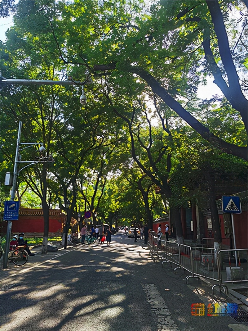 北京文艺小众胡同,胡同里有韵味的小店