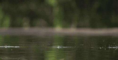 当画面全部慢下来的时候,当画面定格在一瞬间