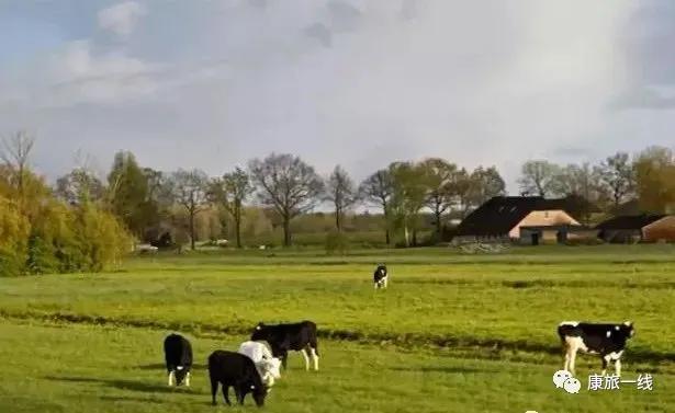 康养养老产业项目有哪些,养老康养行业前景