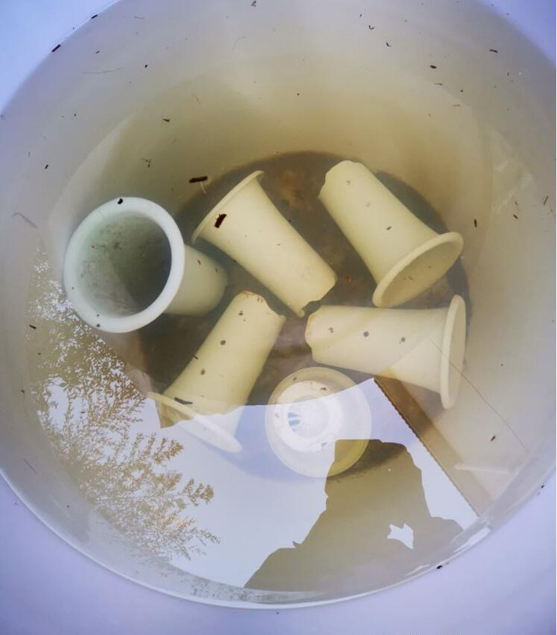 兰花上盆步骤详细演示讲解,兰花刚上盆几天可以浇水