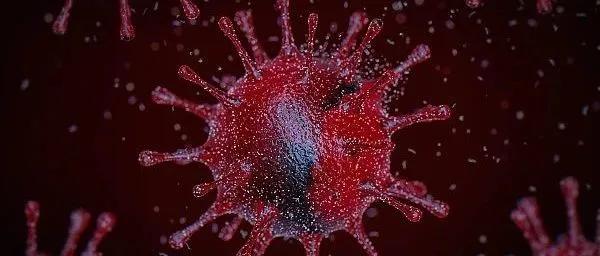 新冠肺炎谣言是真的吗,新冠肺炎疫情现在真的那么严重吗