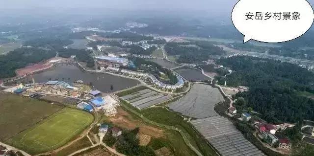 资阳这二十年的变化,2012资阳发展前景