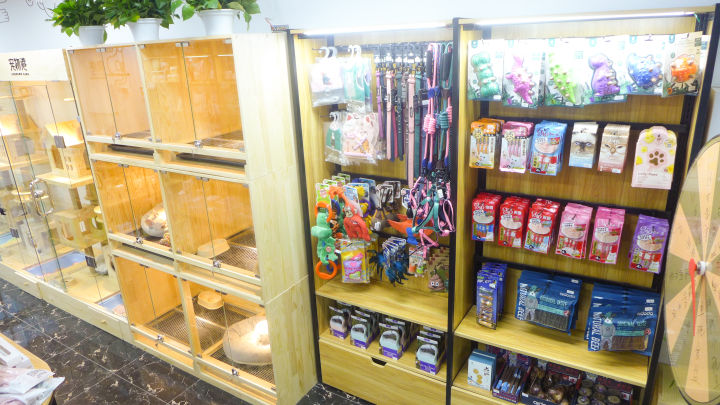 北京推荐的宠物店,北京宠物店推荐宠物港