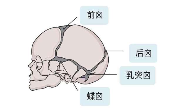 宝宝的囟门比较大正常吗,宝宝的囟门大是缺钙吗