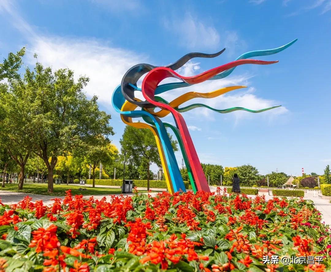 北京庆七一花坛摆放图片,北京长安街迎国庆立体花坛亮相