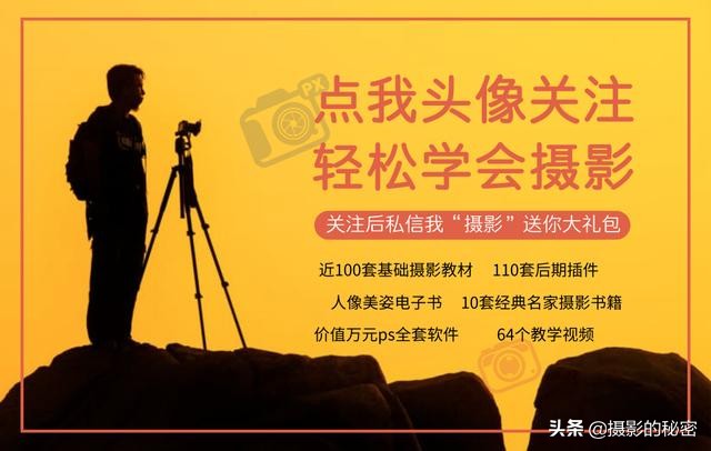 打鸟对焦技巧,专业摄影师教你打鸟