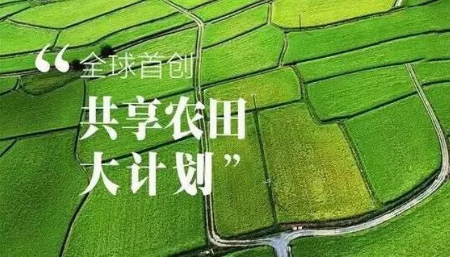 未来最具有前景的创业行业,未来创业前景最好的十大项目