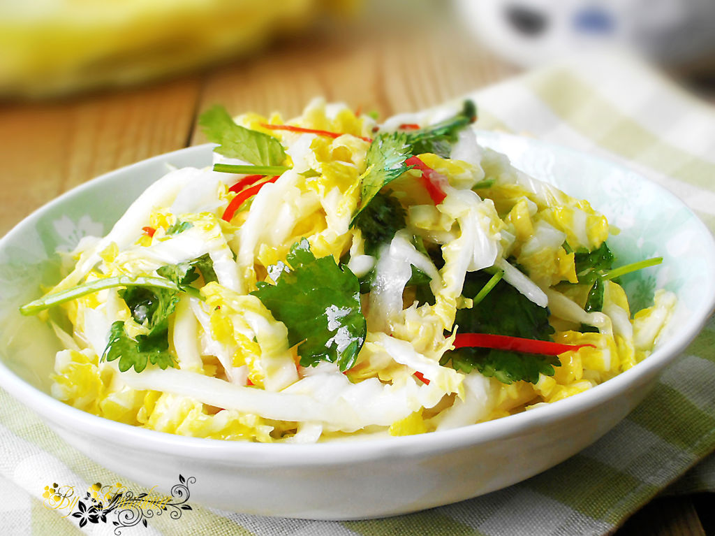 100种北方家常菜白菜的做法,19种白菜冬季做法