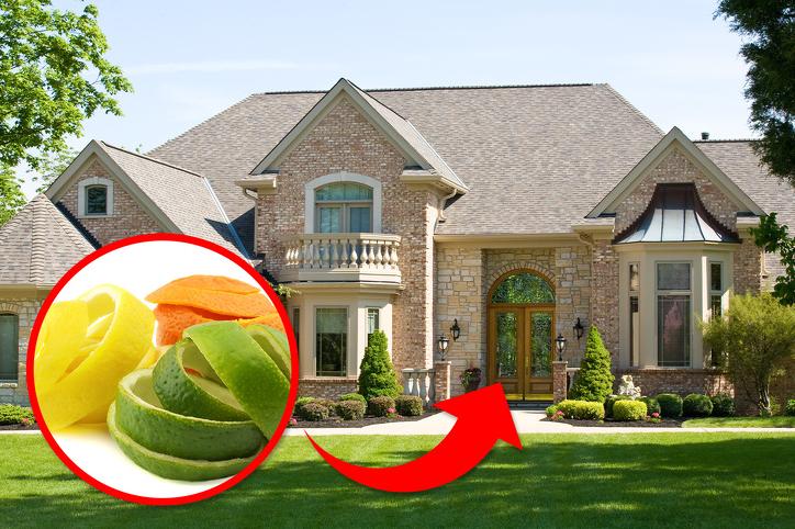 把蜘蛛赶走,把蜘蛛赶走的办法