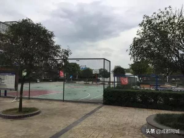 成都运动设施最全的地方,成都免费运动场