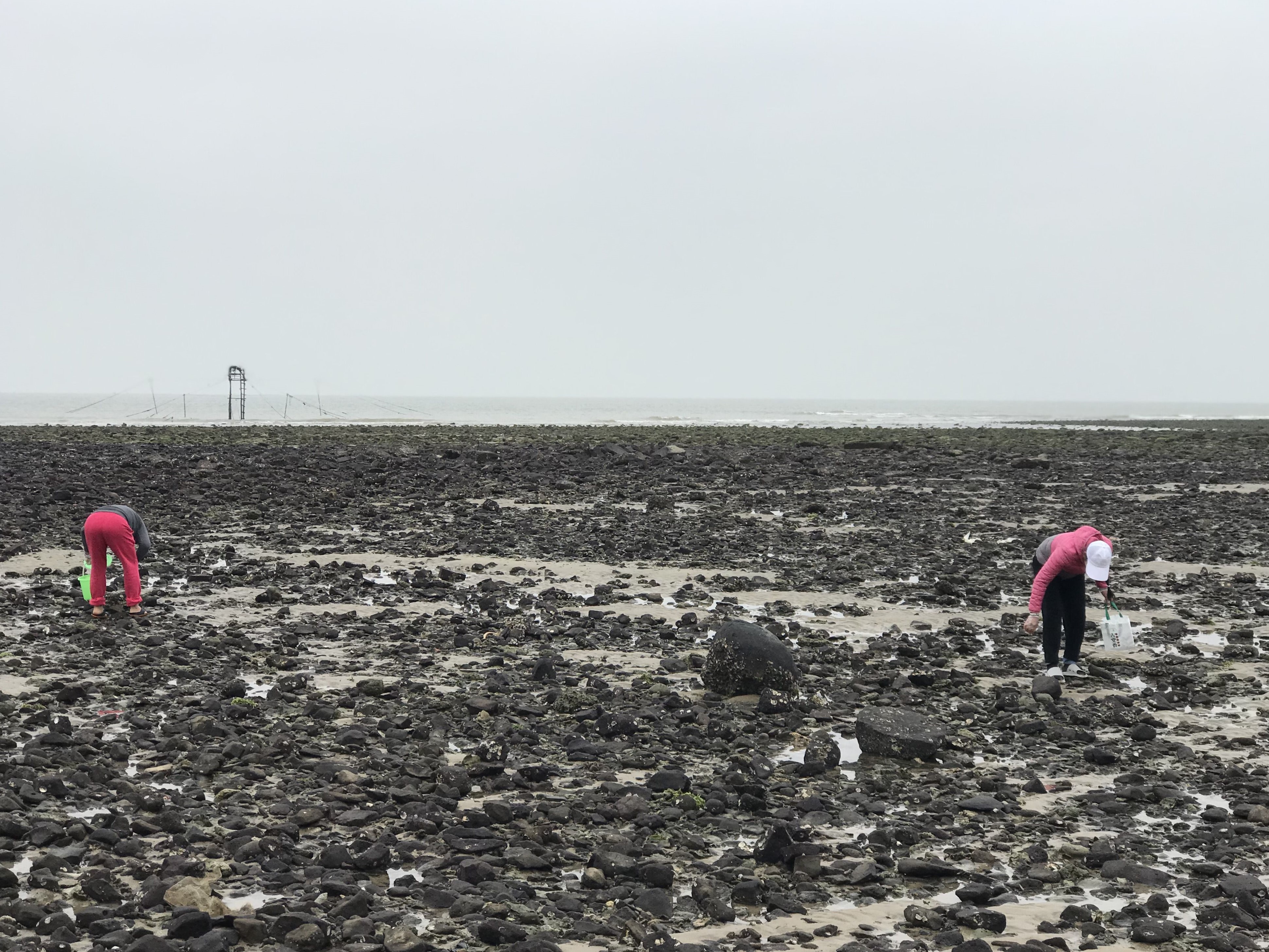 再说房车人是咋算账的；1212房车旅行车的事很担心；赶海