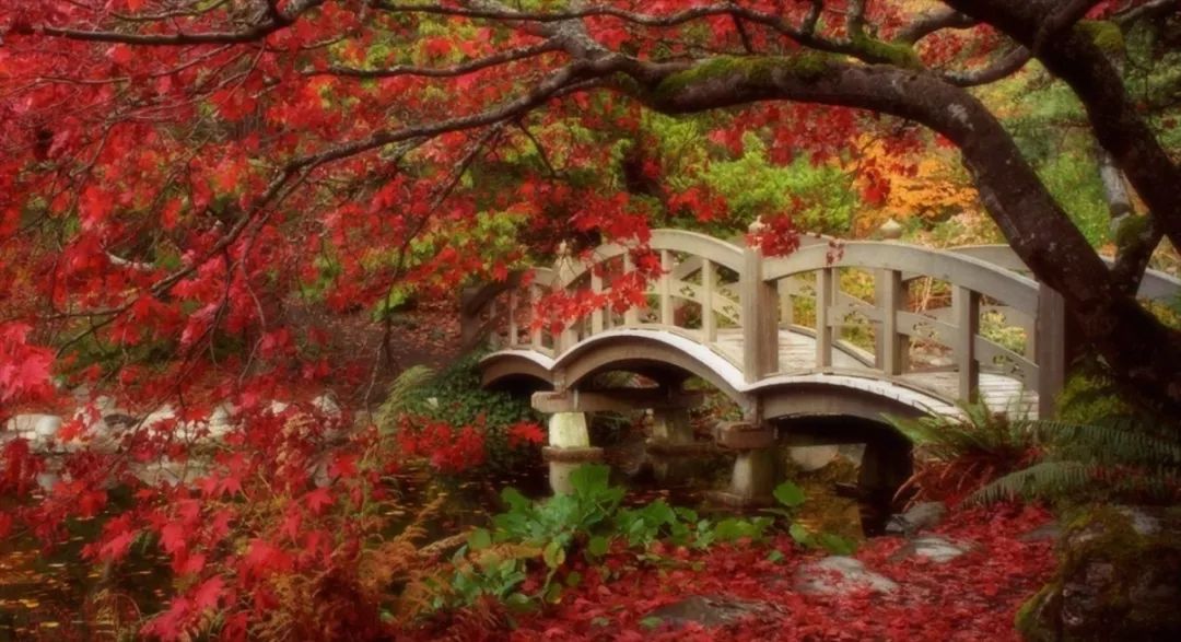 美国常春藤宾夕法尼亚大学,美国常春藤大学宾夕法尼亚大学