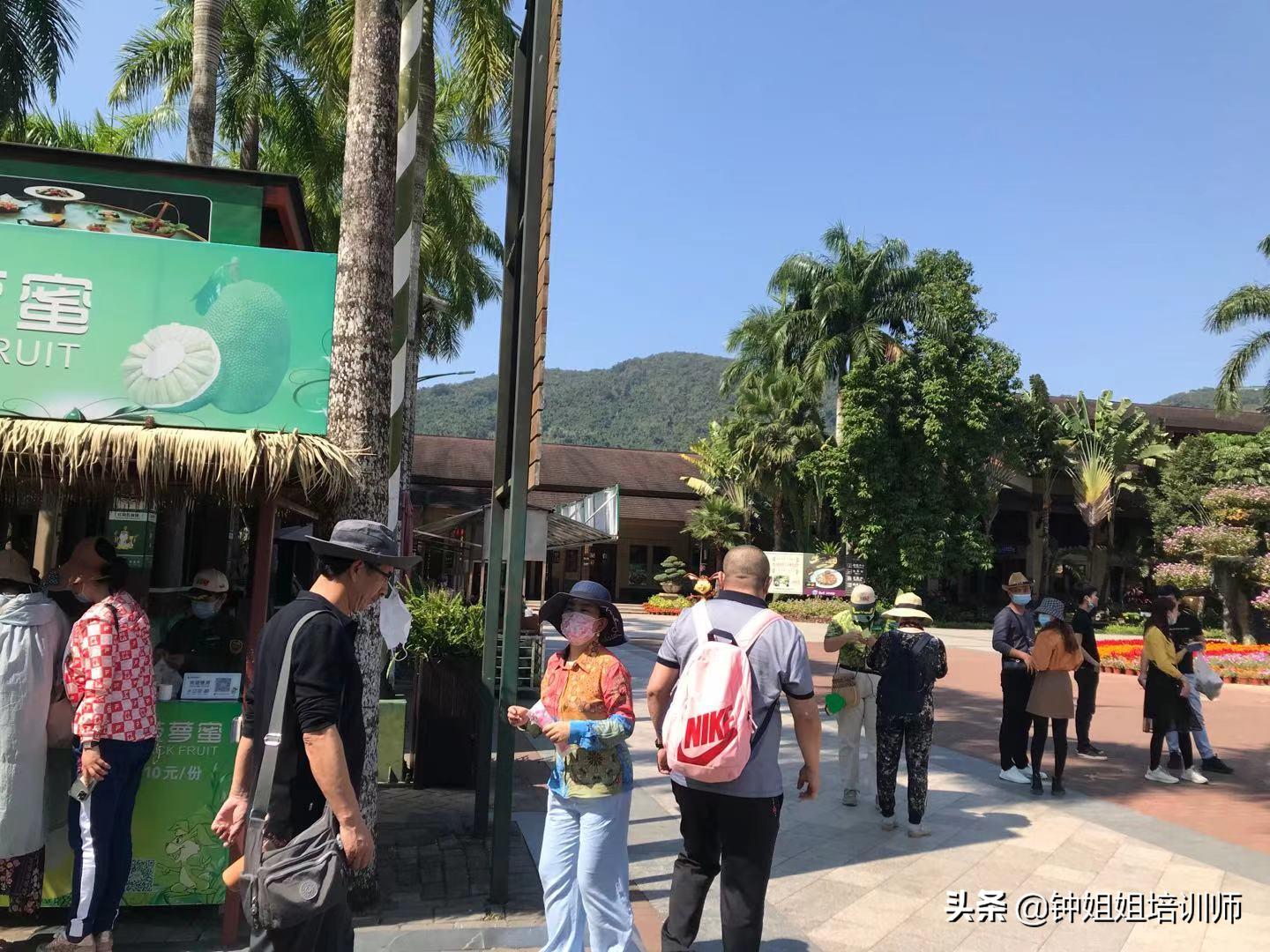 呀诺达半日游价格,呀诺达门票70岁有优惠吗