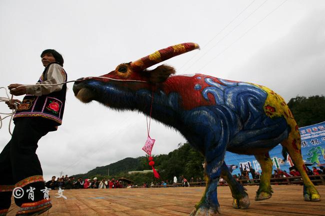 水牛身上画画,水牛身上画了牛郎织女画面