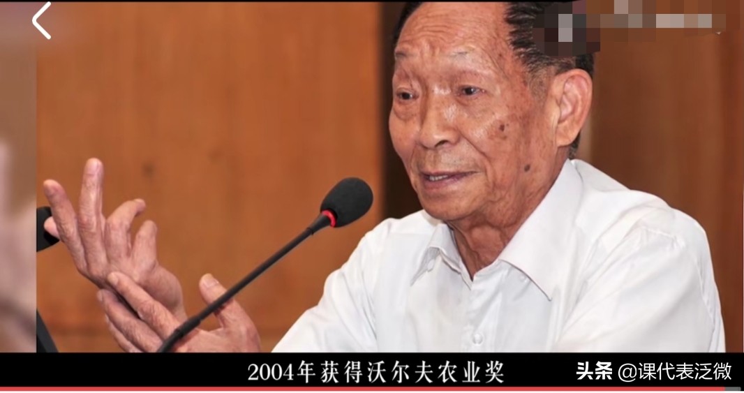 你不知道的袁隆平：浪里白条、预备飞行员、油炸鬼、臭水沟捞宝贝