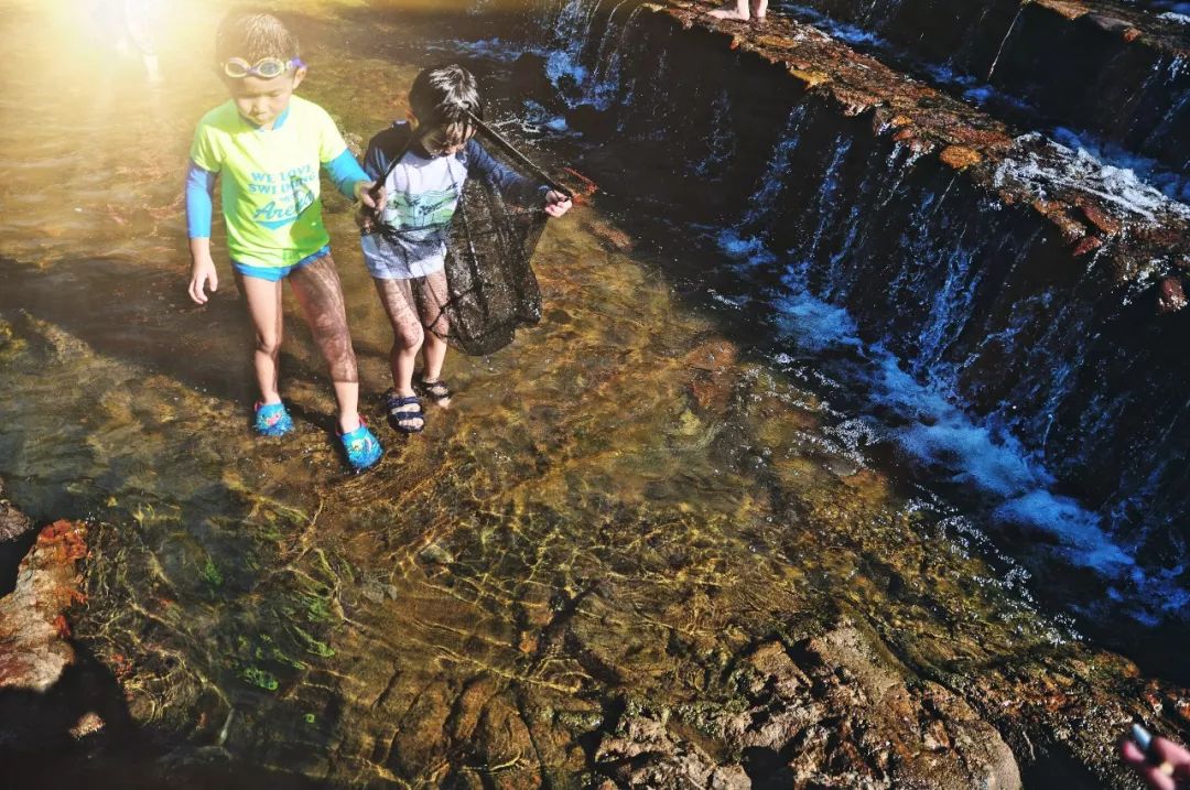 浙江杭州民宿3天二晚,浙江浦江登高村春社民宿