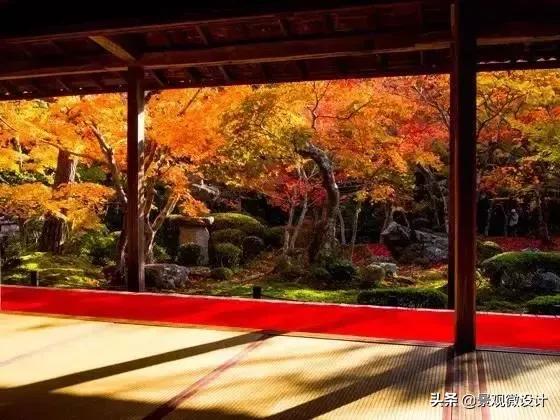 日本最有名枯山水庭院,日本枯山水效果图