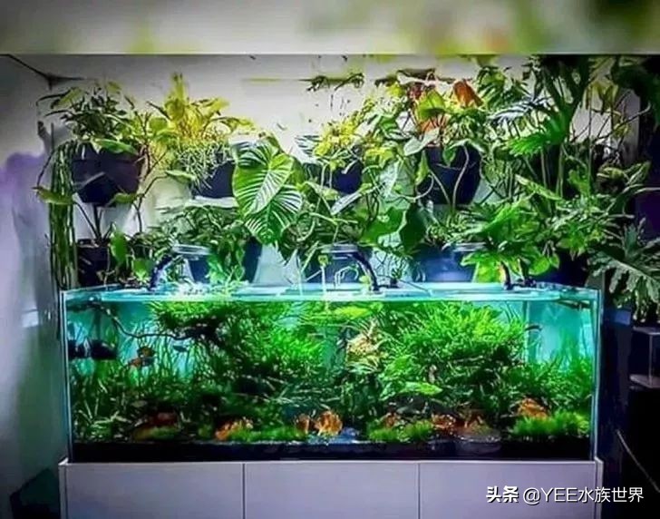 买水泵前需要注意什么问题,买水泵注意事项有哪些