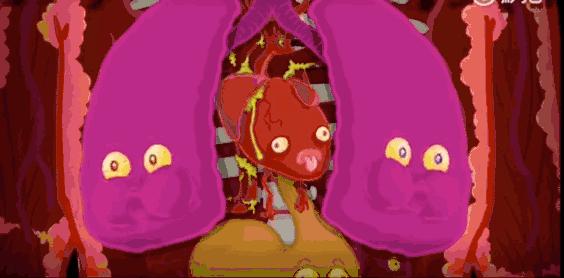 一部动画告诉我们不停地改变自己,一部动画让我们知道了死的意义