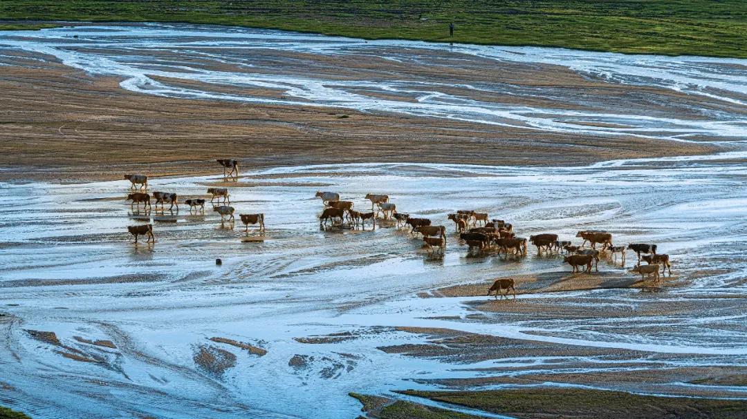 内蒙赤峰热吗,内蒙古赤峰冷不冷