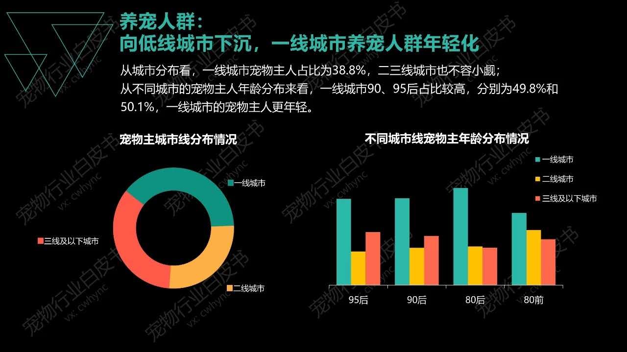 新兴职业时间自由收入又高？来看看一位90后猫舍店主的真实经历