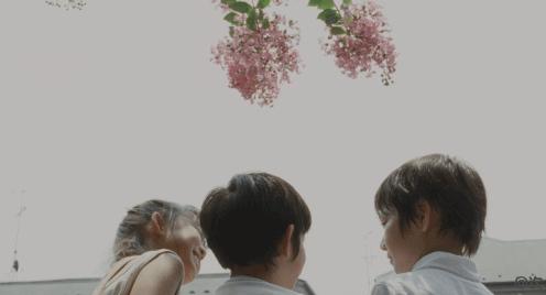 《西小河的夏天》歌曲剪辑版,西小河的夏天免费完整版