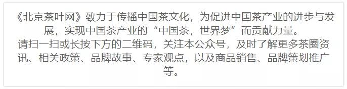 如何更优雅的泡出一杯好茶？不妨亲身感受“湿泡法”与“干泡法”