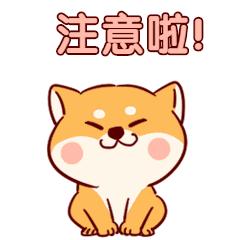 企业所得税多缴退税会计处理,多缴的企业所得税申请退税流程