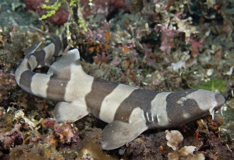 孩子是谁的不知道,孩子是谁的都没查出来