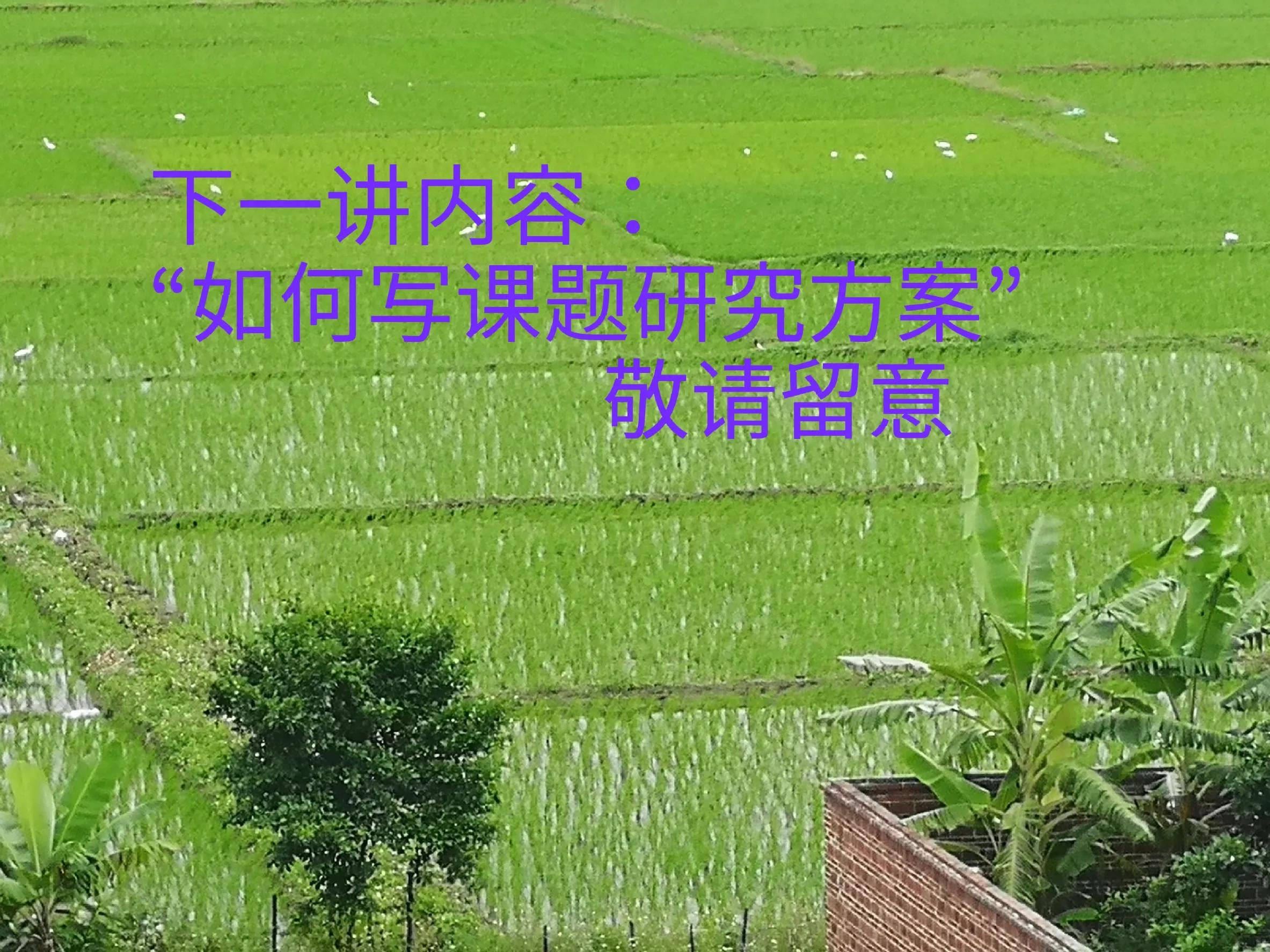 课题申请流程及步骤,怎么写课题报告