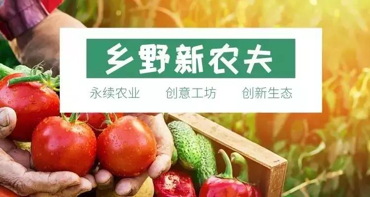 假期带娃去哪儿？成都这些校长老师们的目的地了解一下