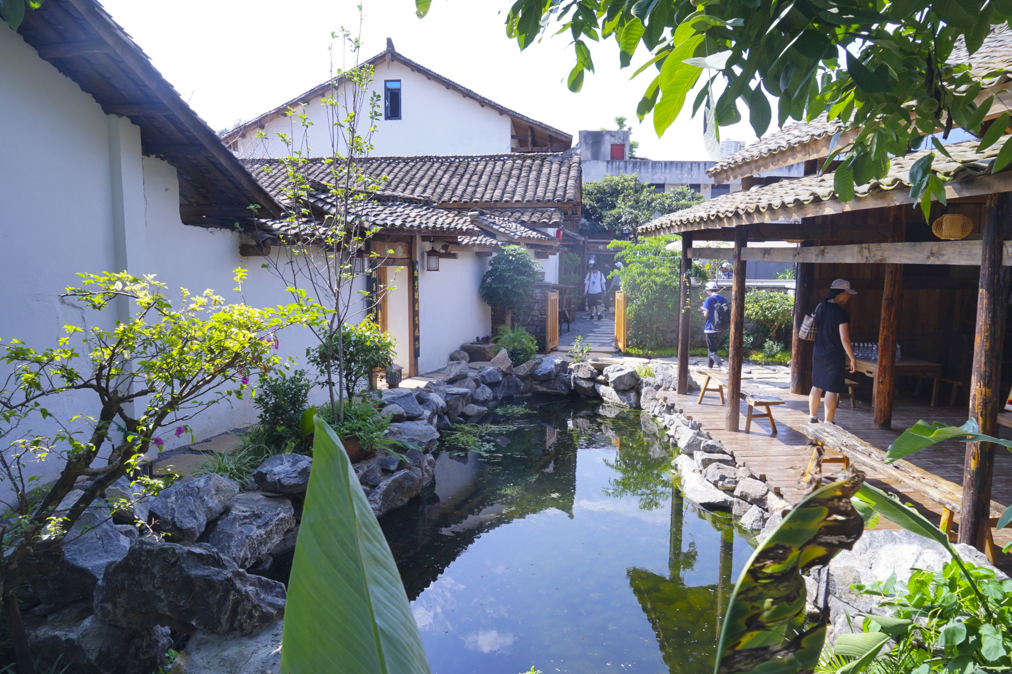 四川米易为什么很多人到这度假养老米易都有哪些好玩的地方？