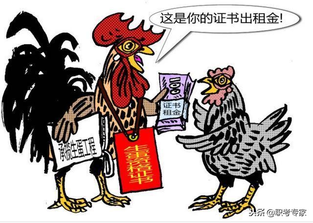 挂靠什么情况下会被查,被查到挂靠是先整改还是直接处罚